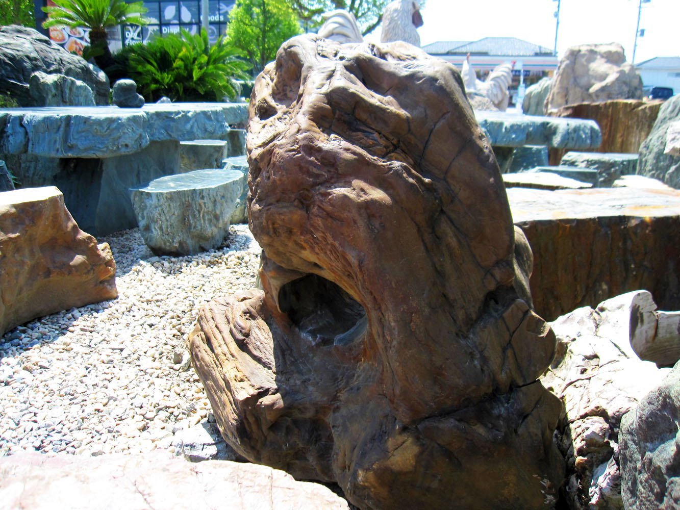 Amazon | 木化石 031 珪化木 庭石 | ガーデンオーナメント・置物